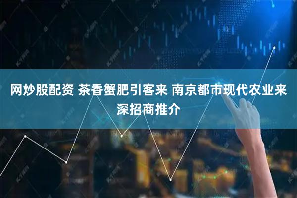 网炒股配资 茶香蟹肥引客来 南京都市现代农业来深招商推介